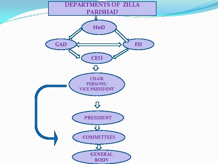 DEPARTMENTS OF ZILLA PARISHAD Ho. D GAD FD CEO CHAIR PERSONS/ VICE PRESIDENT COMMITTEES
