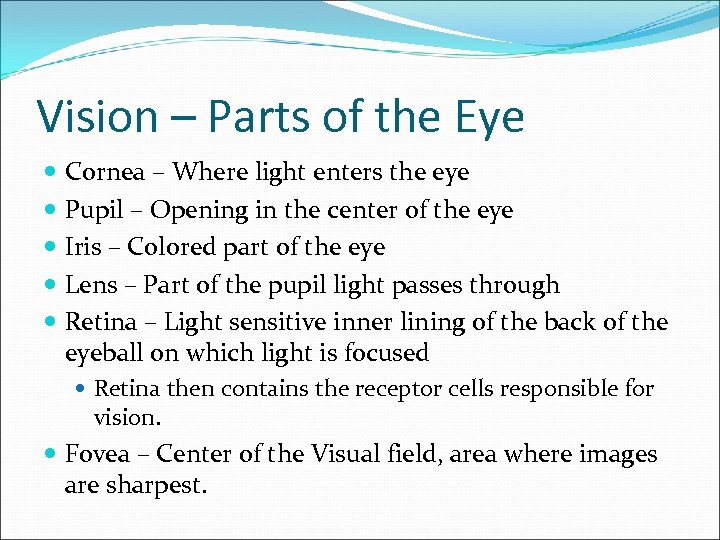 Vision – Parts of the Eye Cornea – Where light enters the eye Pupil