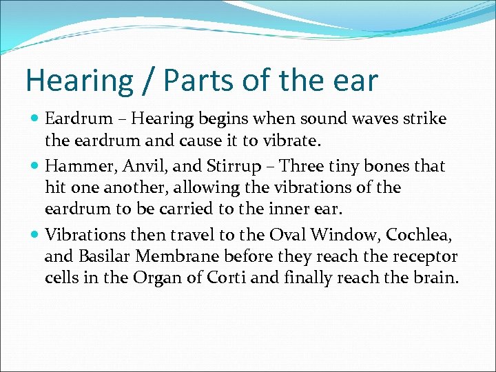 Hearing / Parts of the ear Eardrum – Hearing begins when sound waves strike
