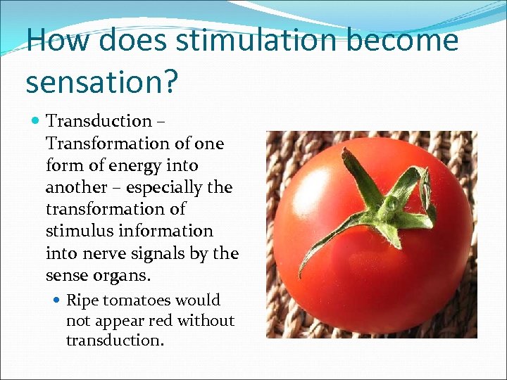 How does stimulation become sensation? Transduction – Transformation of one form of energy into