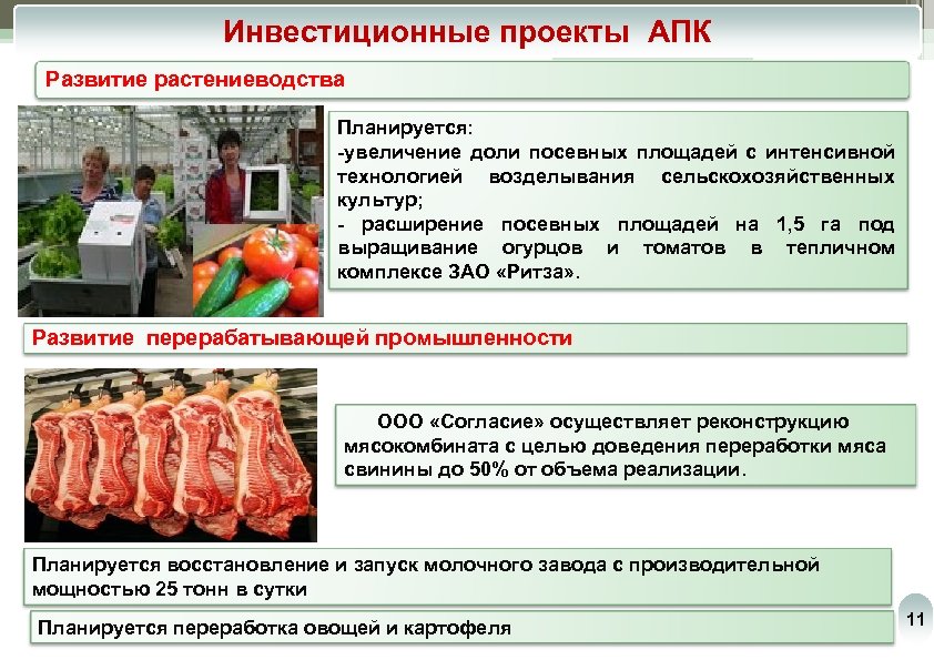 Проект развитие аграрно промышленного комплекса