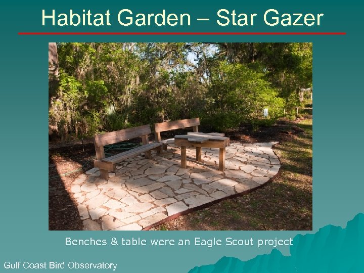 Habitat Garden – Star Gazer Benches & table were an Eagle Scout project Gulf