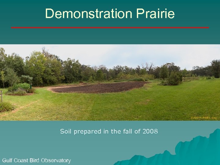Demonstration Prairie Soil prepared in the fall of 2008 Gulf Coast Bird Observatory 