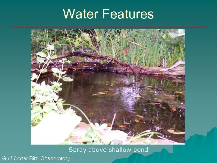 Water Features Spray above shallow pond Gulf Coast Bird Observatory 