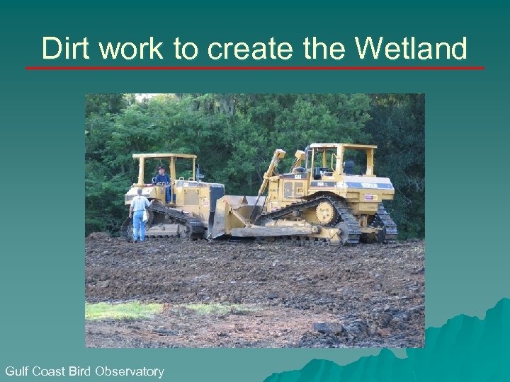 Dirt work to create the Wetland Gulf Coast Bird Observatory 
