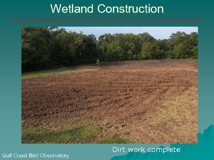 Wetland Construction Gulf Coast Bird Observatory Dirt work complete 