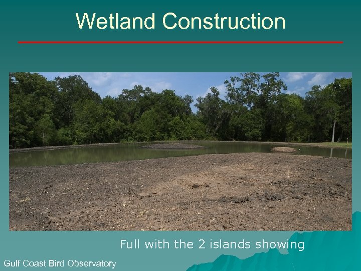 Wetland Construction Full with the 2 islands showing Gulf Coast Bird Observatory 