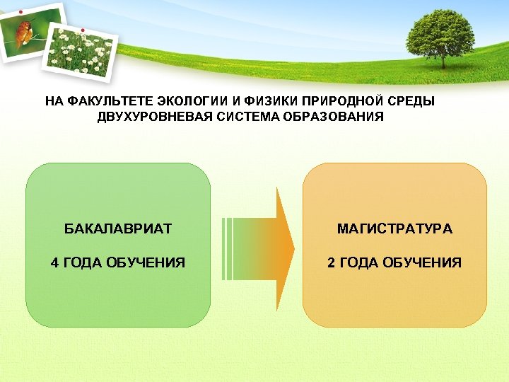 Двух уровневасистема обучения. Физика и экология. Экология в физике.