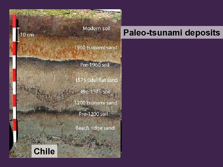 Paleo-tsunami deposits Chile 