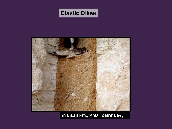 Clastic Dikes in Lisan Fm. , Ph. D - Zafrir Levy 