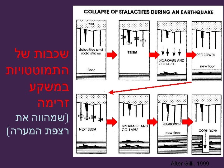  שכבות של התמוטטויות במשקע זרימה )שמהווה את רצפת המערה( . 9991 , After