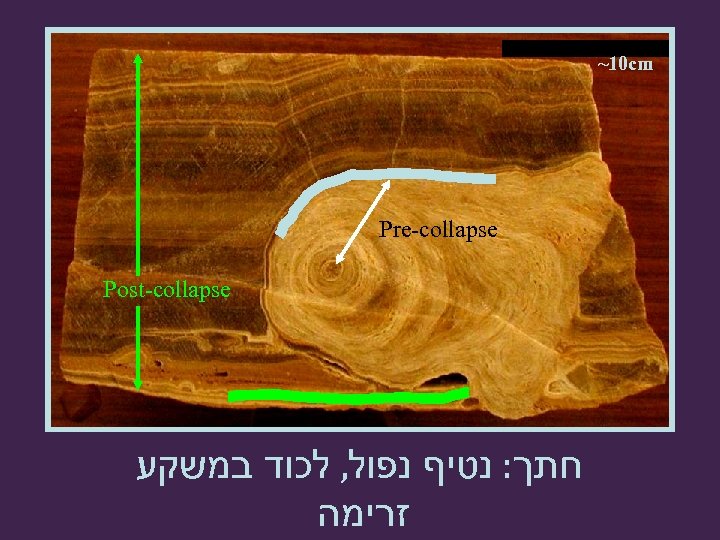 ~10 cm Pre-collapse Post-collapse חתך: נטיף נפול, לכוד במשקע זרימה 