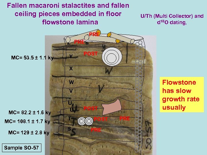 Fallen macaroni stalactites and fallen ceiling pieces embedded in floor flowstone lamina U/Th (Multi