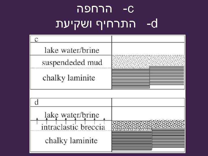  -c הרחפה -d התרחיף ושקיעת 