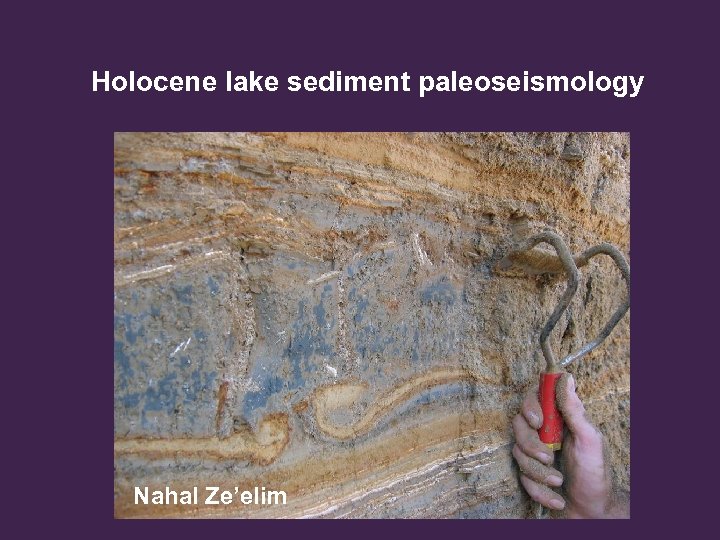 Holocene lake sediment paleoseismology Nahal Ze’elim 