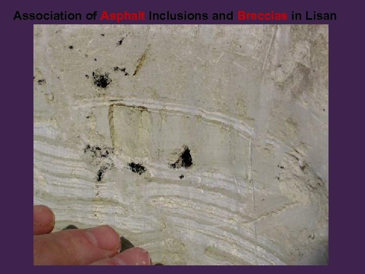 Association of Asphalt Inclusions and Breccias in Lisan 