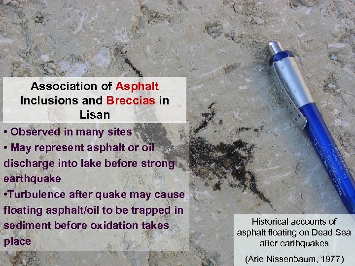 Association of Asphalt Inclusions and Breccias in Lisan • Observed in many sites •