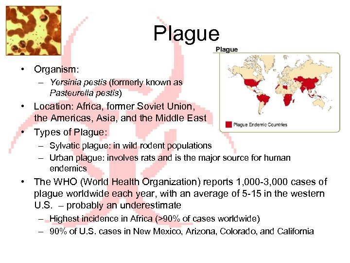 Plague • Organism: – Yersinia pestis (formerly known as Pasteurella pestis) • Location: Africa,