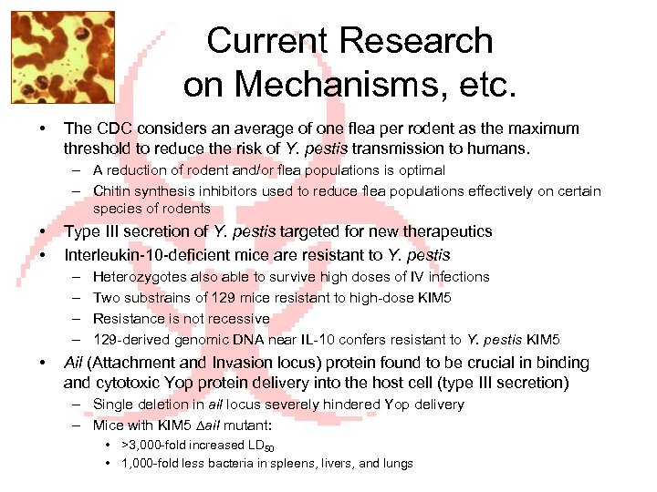 Current Research on Mechanisms, etc. • The CDC considers an average of one flea
