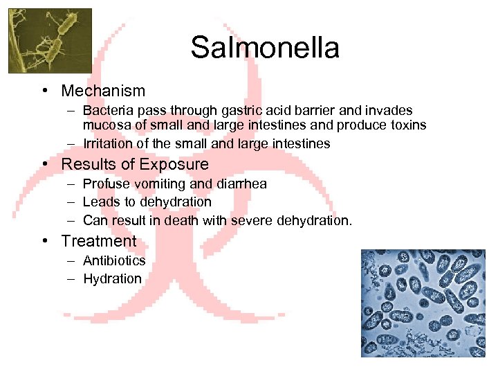 Salmonella • Mechanism – Bacteria pass through gastric acid barrier and invades mucosa of