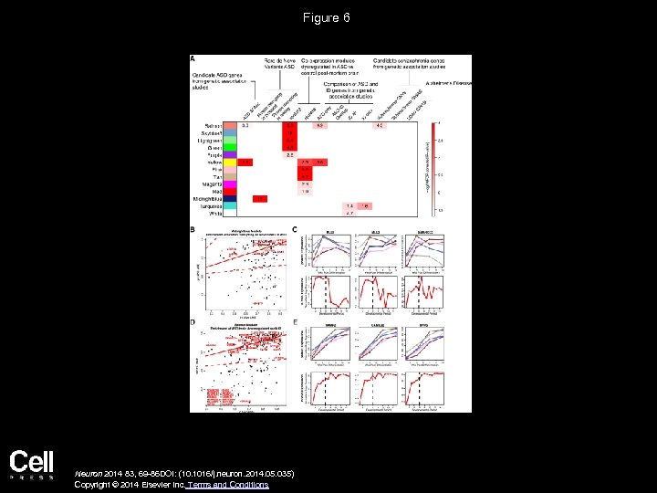 Figure 6 Neuron 2014 83, 69 -86 DOI: (10. 1016/j. neuron. 2014. 05. 035)