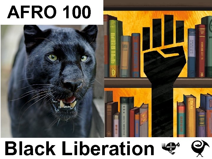 AFRO 100 Black Liberation 