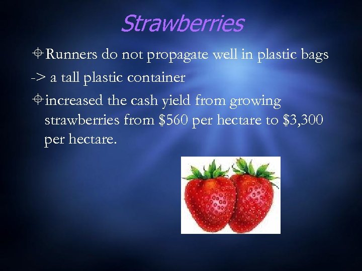 Strawberries Runners do not propagate well in plastic bags -> a tall plastic container