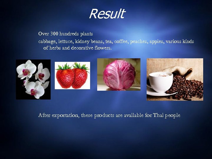 Result Over 300 hundreds plants cabbage, lettuce, kidney beans, tea, coffee, peaches, apples, various