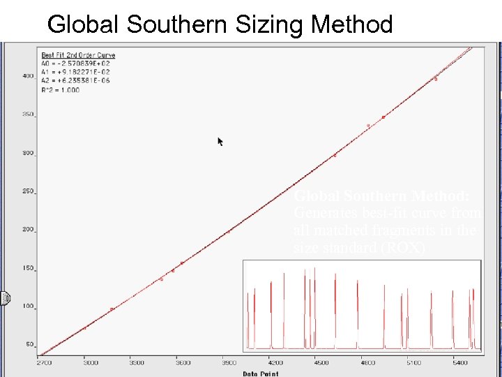 Global Southern Sizing Method Global Southern Method: Generates best-fit curve from all matched fragments