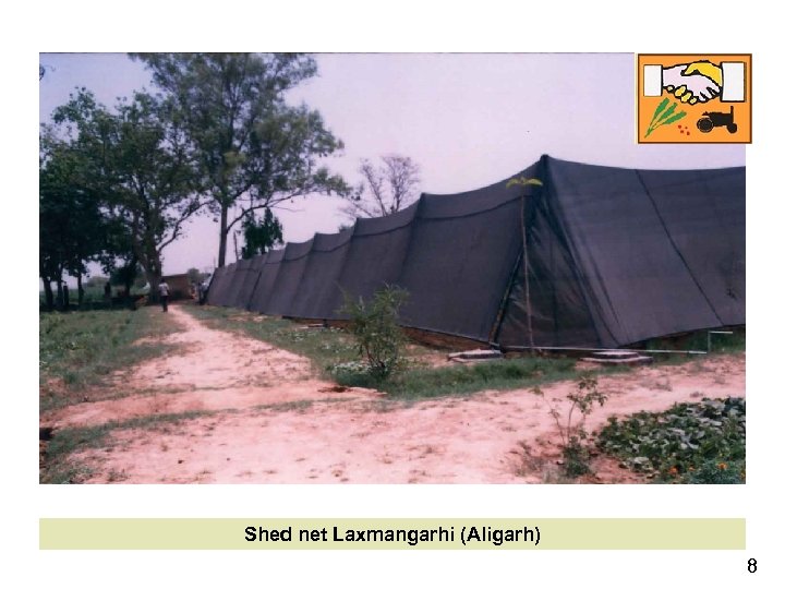 Shed net Laxmangarhi (Aligarh) 8 