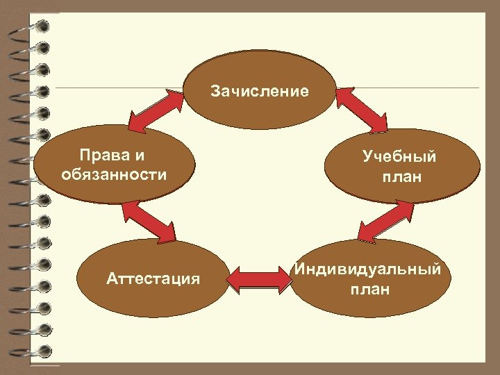 Зачисление Права и обязанности Аттестация Учебный план Индивидуальный план 