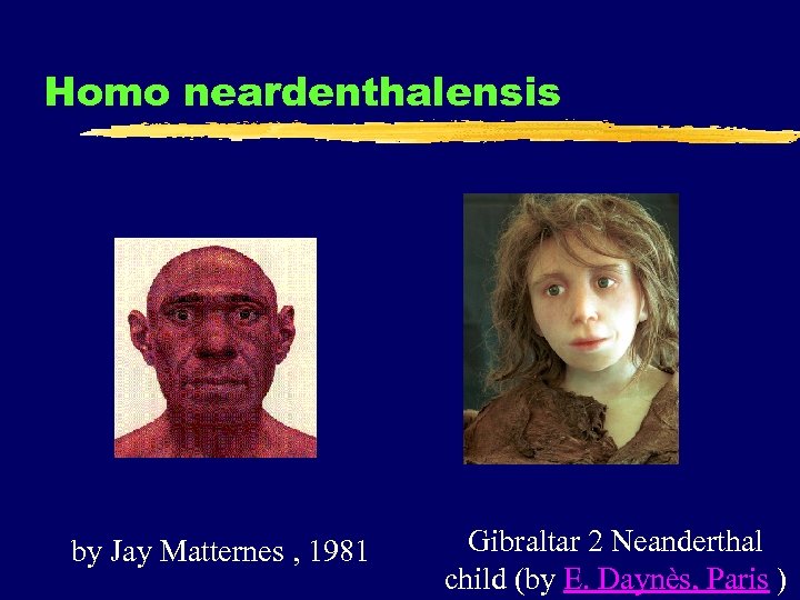 Homo neardenthalensis by Jay Matternes , 1981 Gibraltar 2 Neanderthal child (by E. Daynès,
