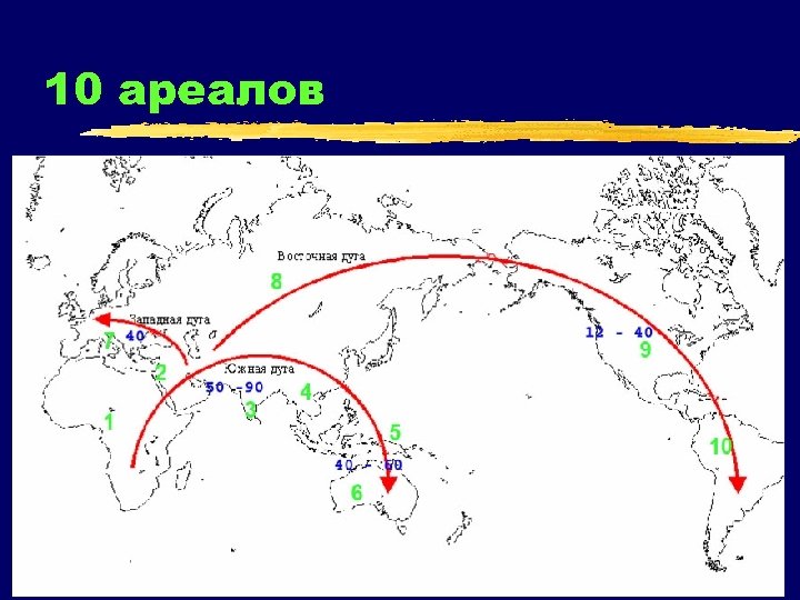 10 ареалов 