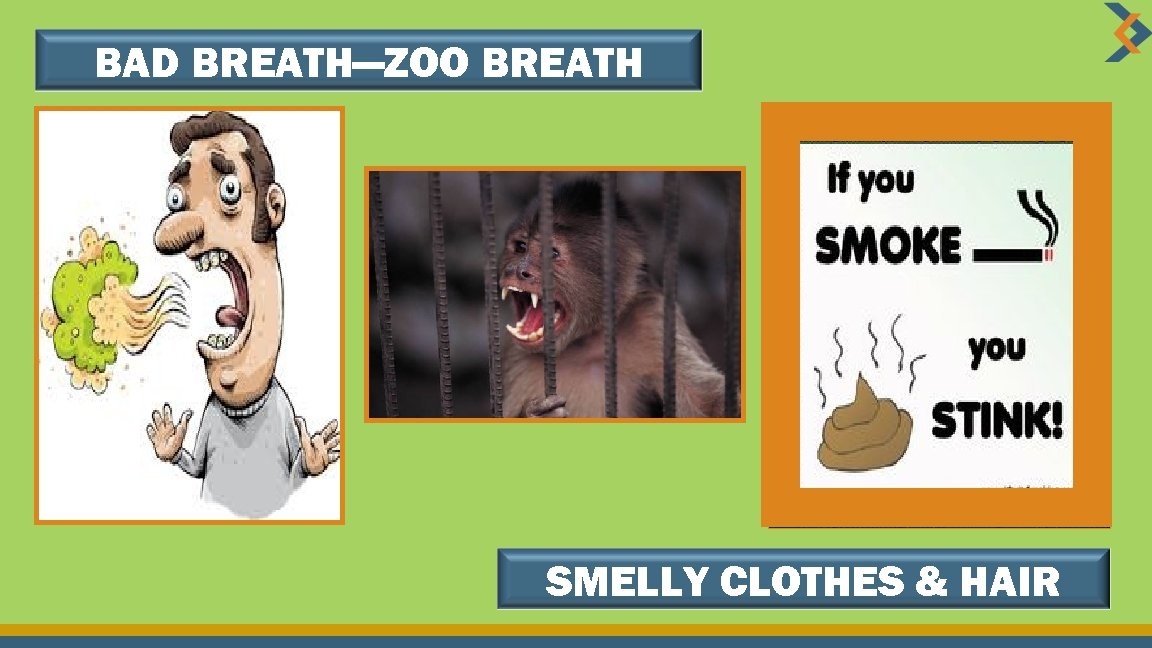 BAD BREATH—ZOO BREATH SMELLY CLOTHES & HAIR 