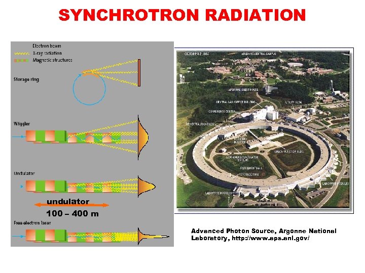 SYNCHROTRON RADIATION undulator 100 – 400 m Advanced Photon Source, Argonne National Laboratory, http: