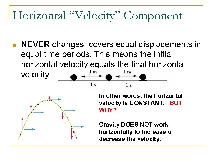 Horizontal “Velocity” Component n NEVER changes, covers equal displacements in equal time periods. This