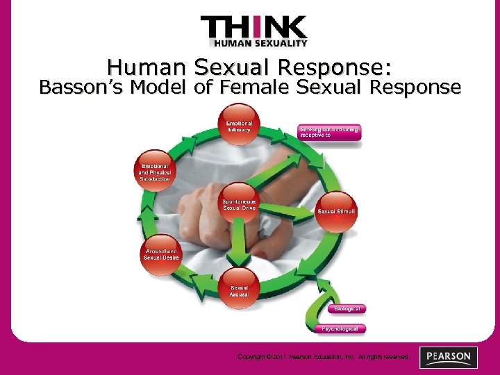 Human Sexual Response: Basson’s Model of Female Sexual Response Copyright © 2011 Pearson Education,