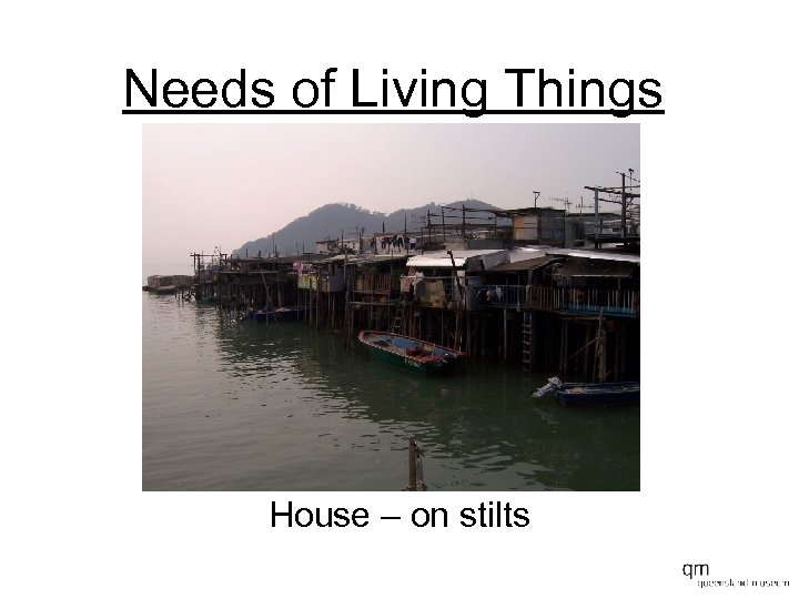 Needs of Living Things House – on stilts 