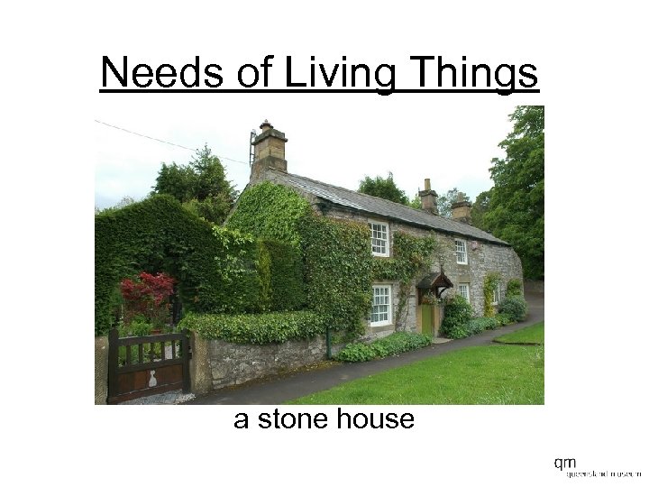 Needs of Living Things a stone house 