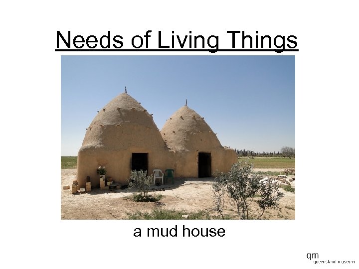Needs of Living Things a mud house 