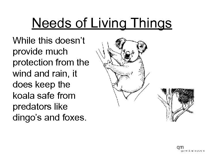 Needs of Living Things While this doesn’t provide much protection from the wind and