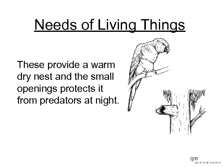 Needs of Living Things These provide a warm dry nest and the small openings