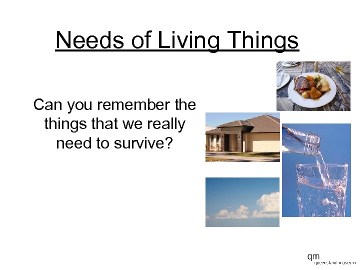 Needs of Living Things Can you remember the things that we really need to