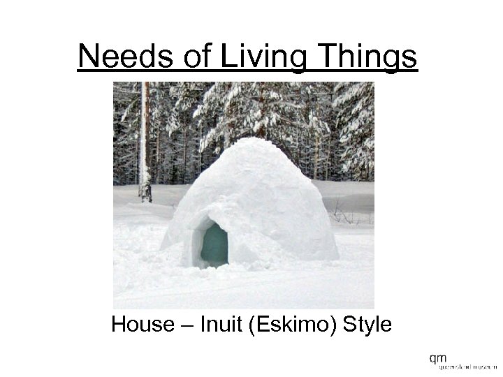 Needs of Living Things House – Inuit (Eskimo) Style 