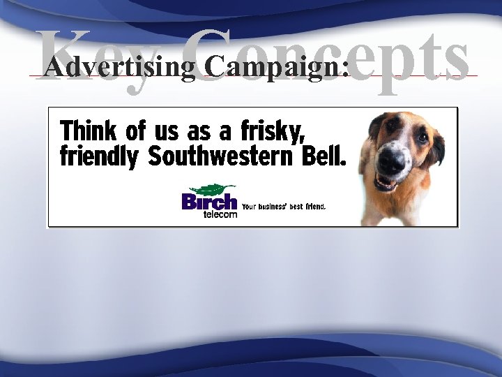 Advertising Campaign: Key Concepts 