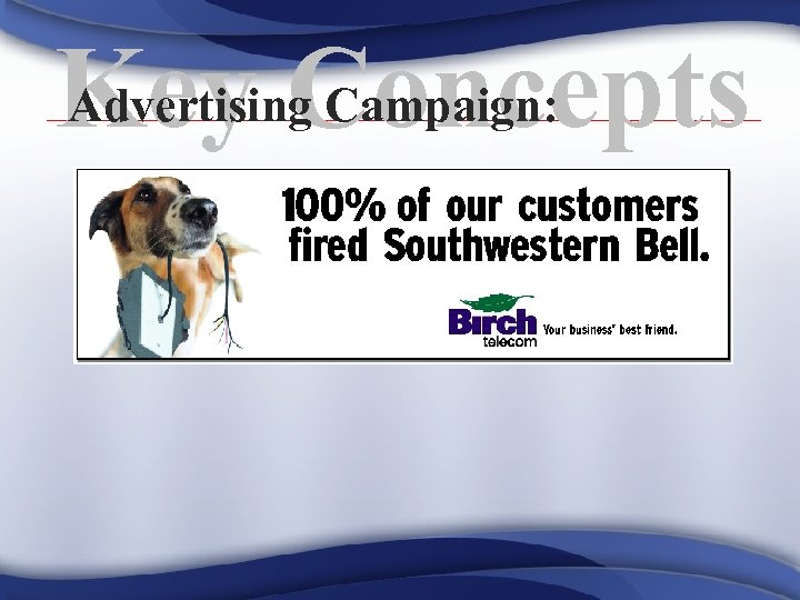 Advertising Campaign: Key Concepts 