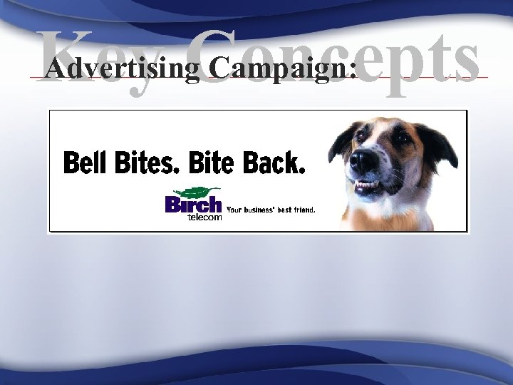 Advertising Campaign: Key Concepts 