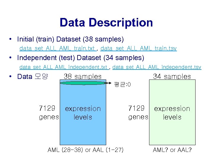 Data Description • Initial (train) Dataset (38 samples) data_set_ALL_AML_train. txt , data_set_ALL_AML_train. tsv •