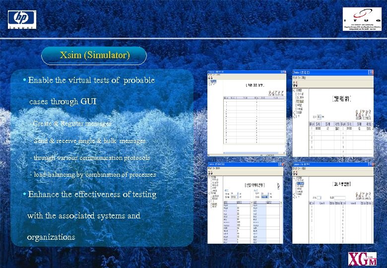 Xsim (Simulator) • Enable the virtual tests of probable cases through GUI - Create