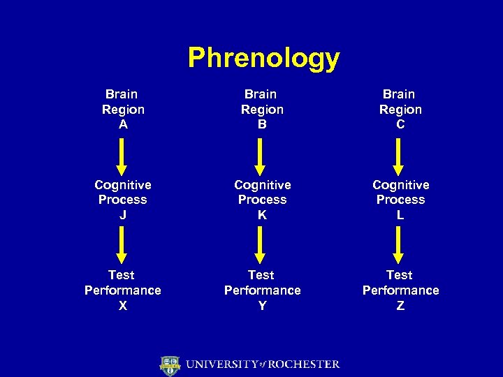 Phrenology Brain Region A Brain Region B Brain Region C Cognitive Process J Cognitive